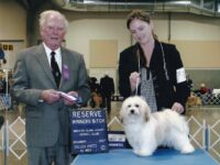 Esplendor Havanese puppies for sale Danville, IN