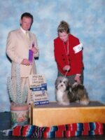 Esplendor Havanese puppies for sale Danville, IN