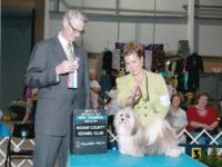 Esplendor Havanese puppies for sale Danville, IN