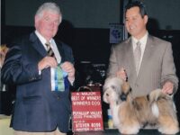 Esplendor Havanese puppies for sale Danville, IN