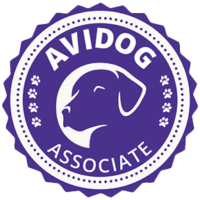 Havanese Puppies for sale Danville, IN