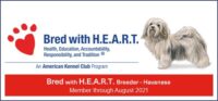 Havanese Puppies for sale Danville, IN