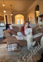 Available Havanese puppy Danville, IN