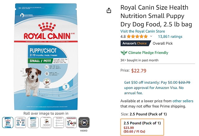 Available Havanese puppy WA