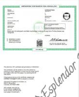 Available Havanese Puppy Danville, IN