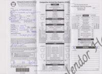 Available Havanese Puppy Danville, IN