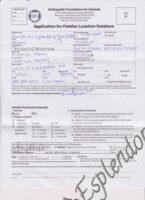 Available Havanese Puppy Danville, IN