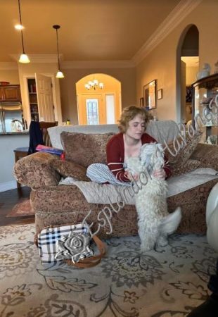 Available Havanese puppy Danville, IN