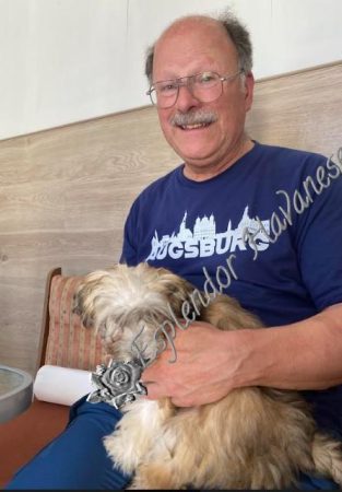 Available Havanese puppy Danville, IN